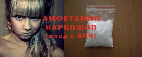 твердый Инсар