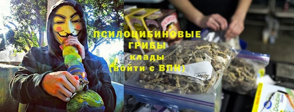 индика Алексеевка