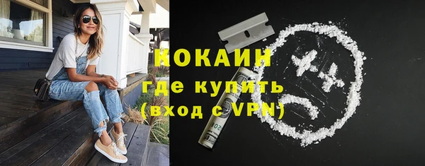индика Алексеевка