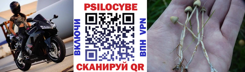 закладки Алушта Галлюциногенные грибы ЛСД