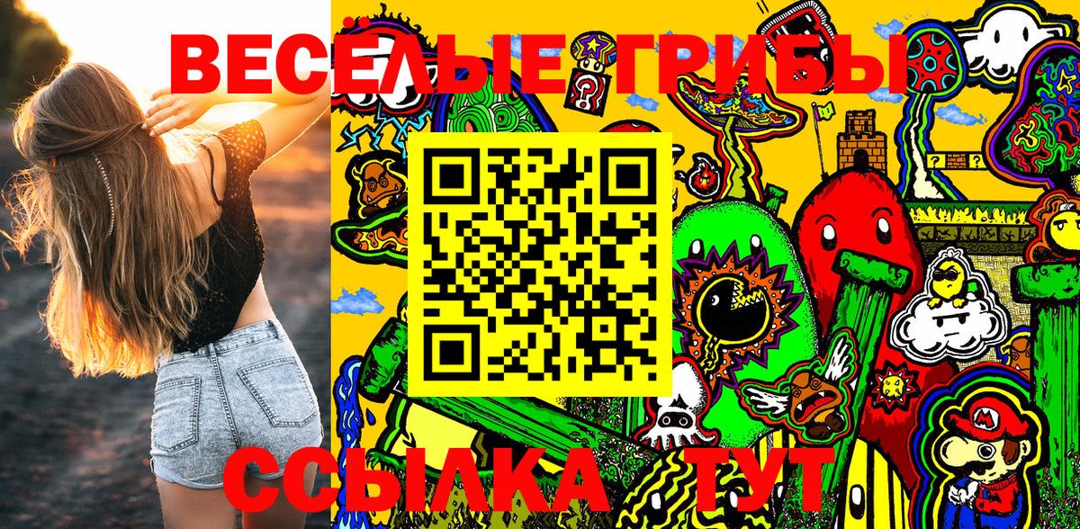 Галлюциногенные грибы Magic Shrooms  Вход с VPN  Алушта  Псилоцибиновые грибы GOLDEN TEACHER 